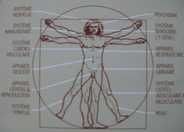 Mèdecine traditionnelle chinoise